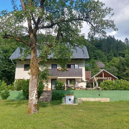 Apartmaji Katrc Soča Extérieur photo