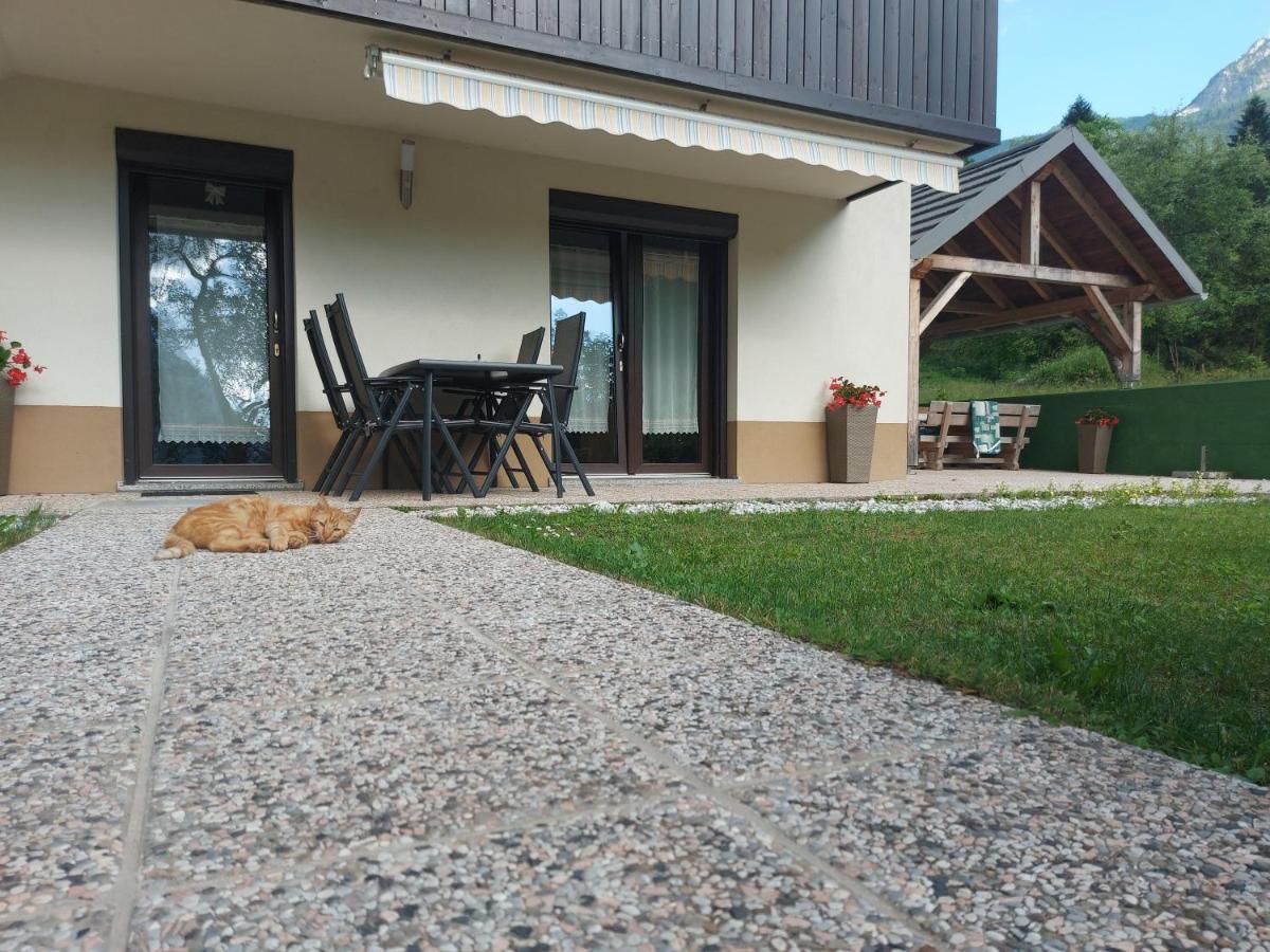 Apartmaji Katrc Soča Extérieur photo