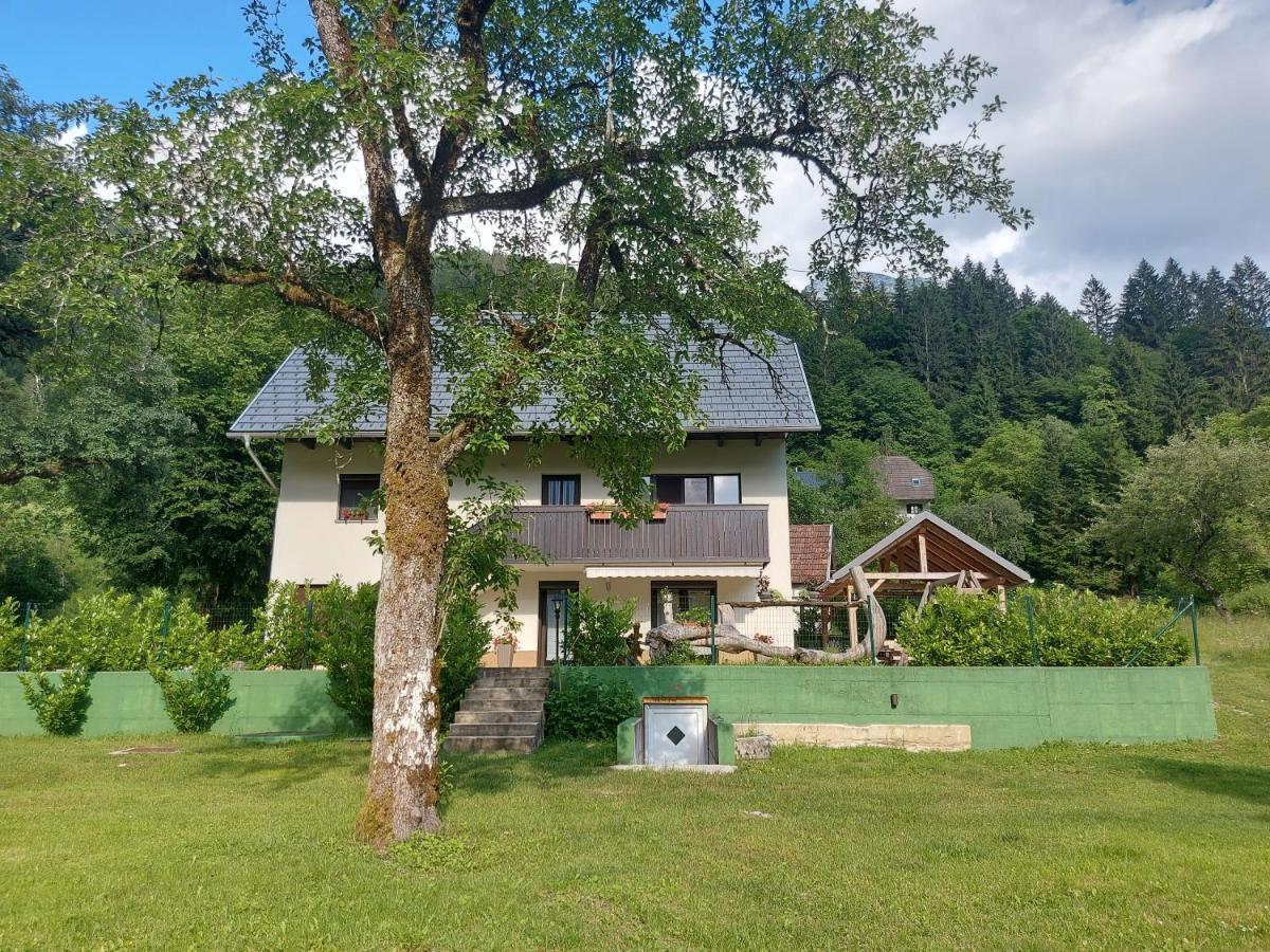 Apartmaji Katrc Soča Extérieur photo