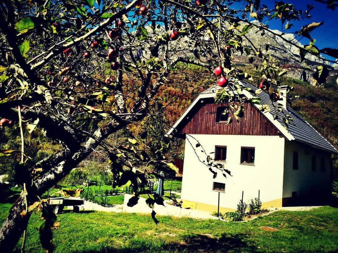 Apartmaji Katrc Soča Extérieur photo